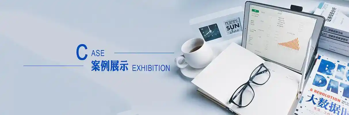 河南蒙古族自治县软件开发